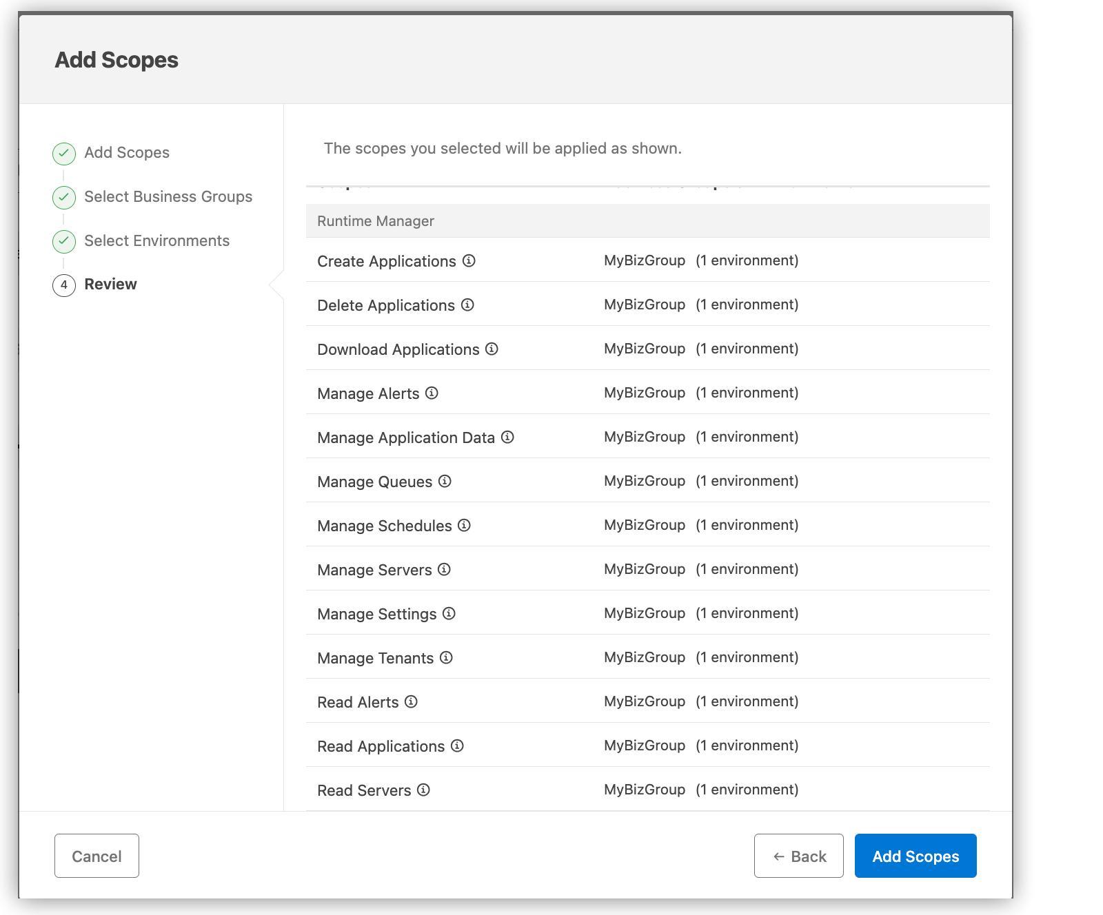 Add scopes review with Runtime Manager scopes selected