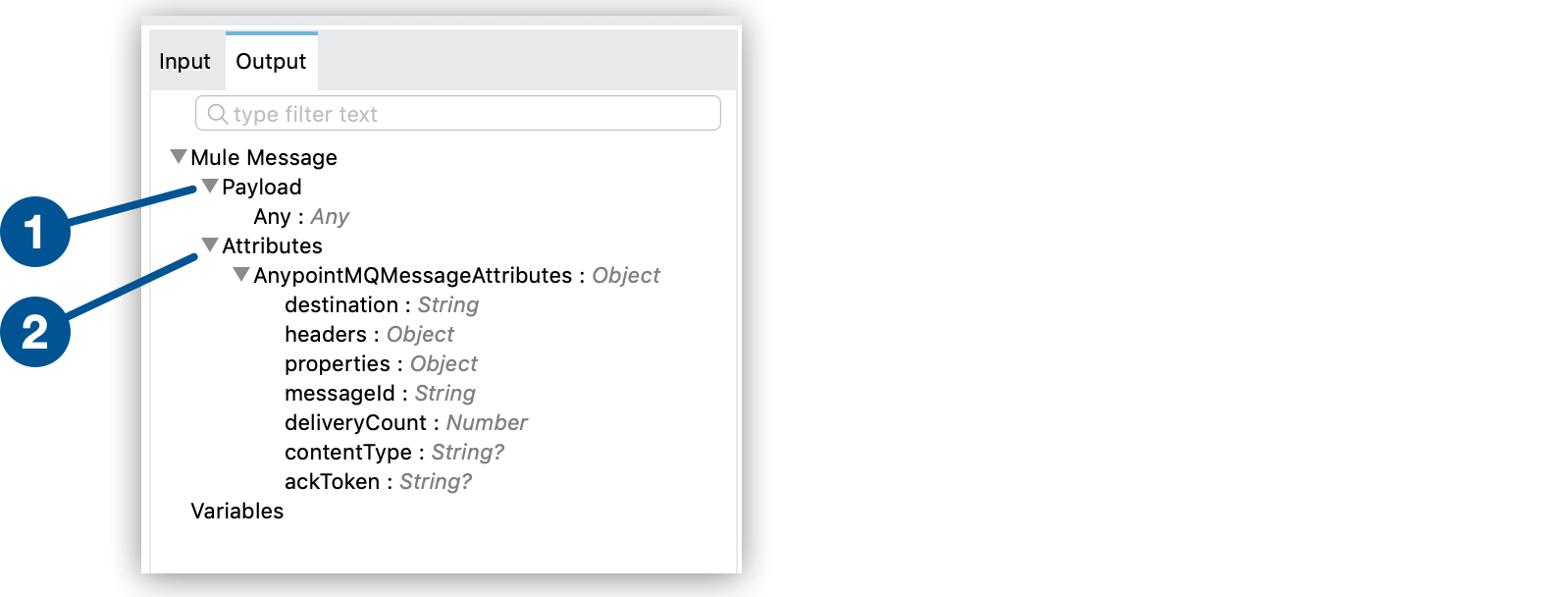 Mule message output, including payload and message attributes